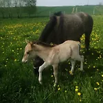 Komblowka Marcinowa Wola