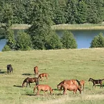 Séjour à la ferme Komblowka *