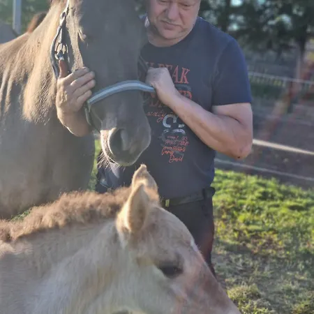 Komblowka Lantgård Marcinowa Wola