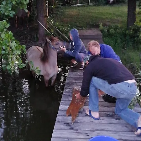 Komblowka Lantgård Marcinowa Wola