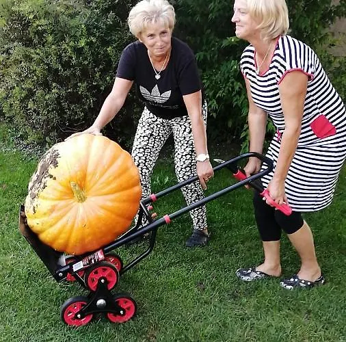 Komblowka Farm stay Marcinowa Wola