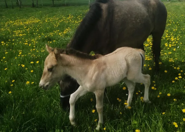Komblowka Marcinowa Wola