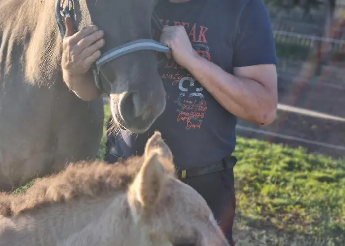 Komblowka Farm stay Marcinowa Wola