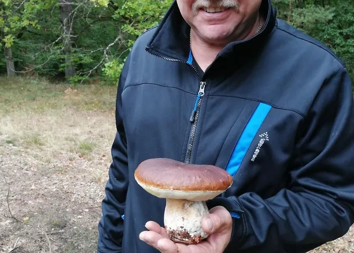 Lantgård Komblowka *