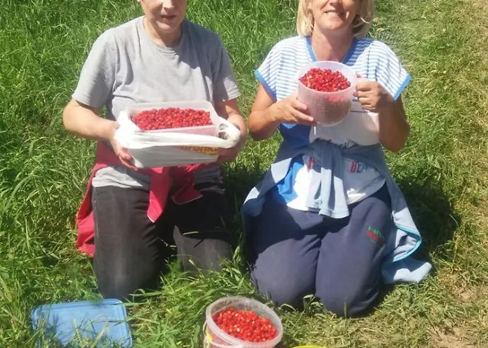 Komblowka Marcinowa Wola